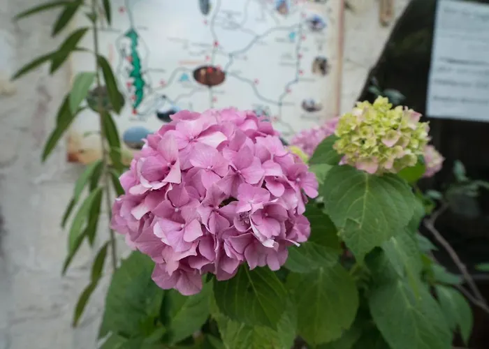 Whisper Cave House Hotel 3*